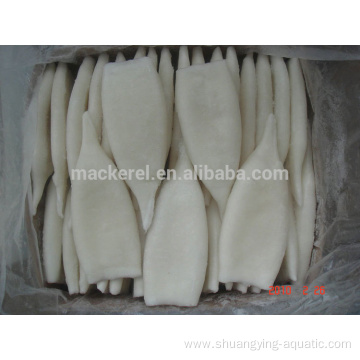 Good Quality Frozen Calamari Squid Tube U10 70%nw